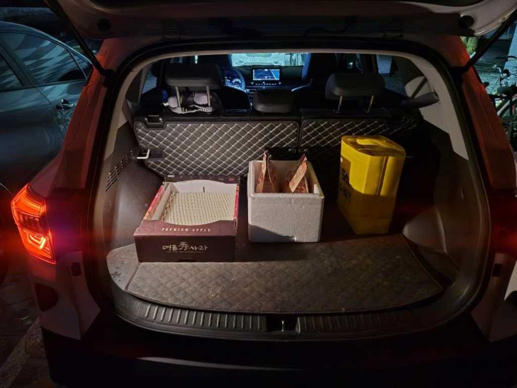 KIA Seltos - Vista 11