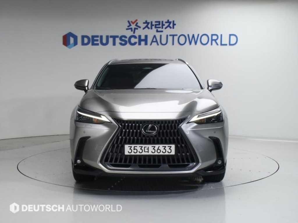 Lexus NX - Vista 3