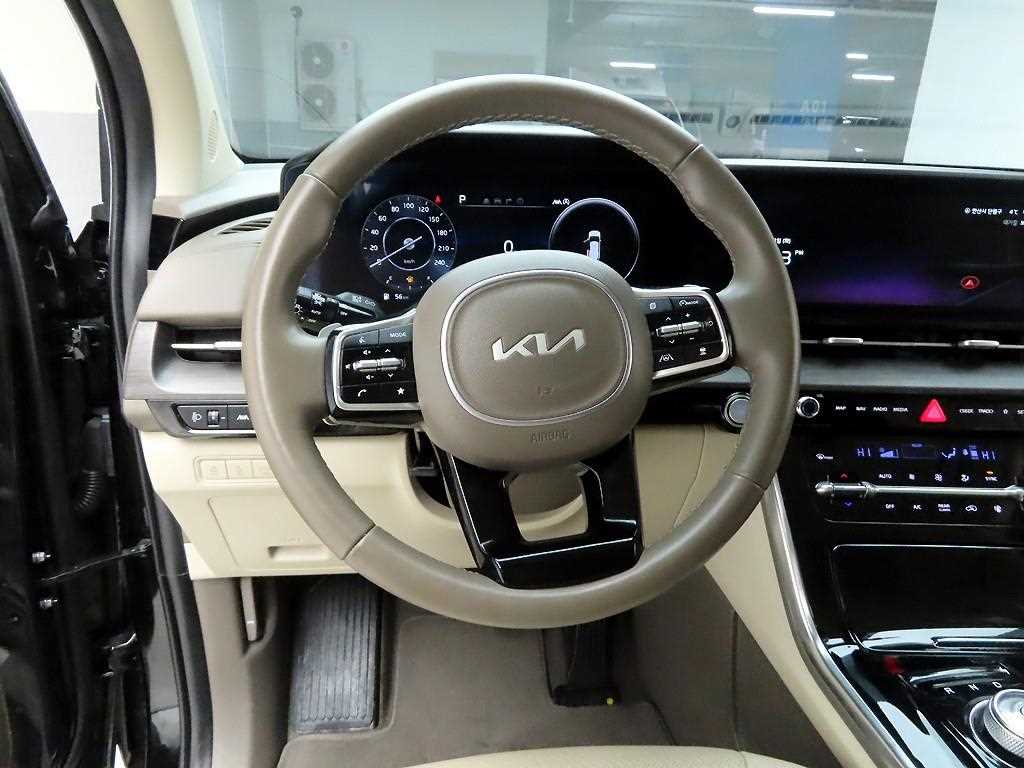 KIA Carnival - Vista 7