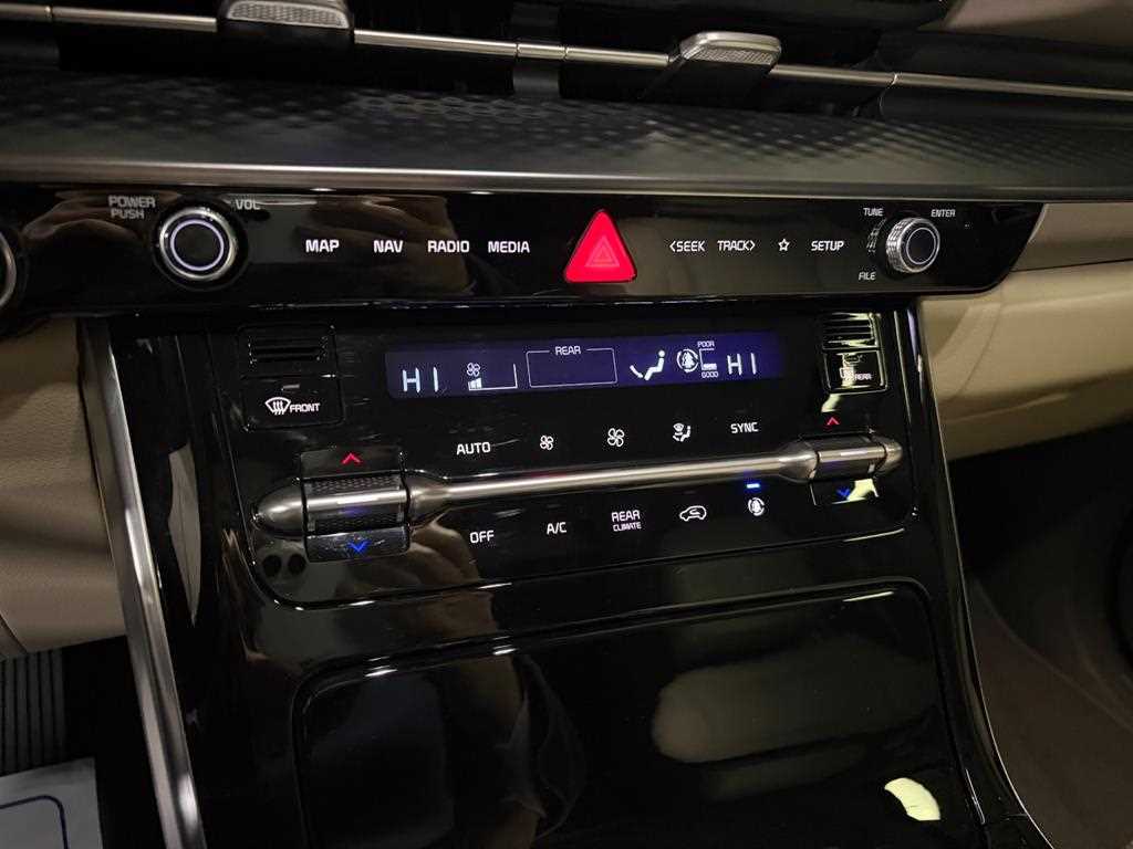 KIA Carnival - Vista 11