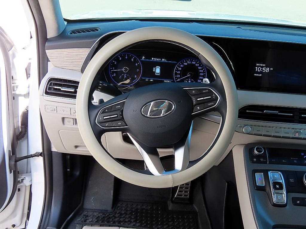 HYUNDAI Palisade - Vista 8