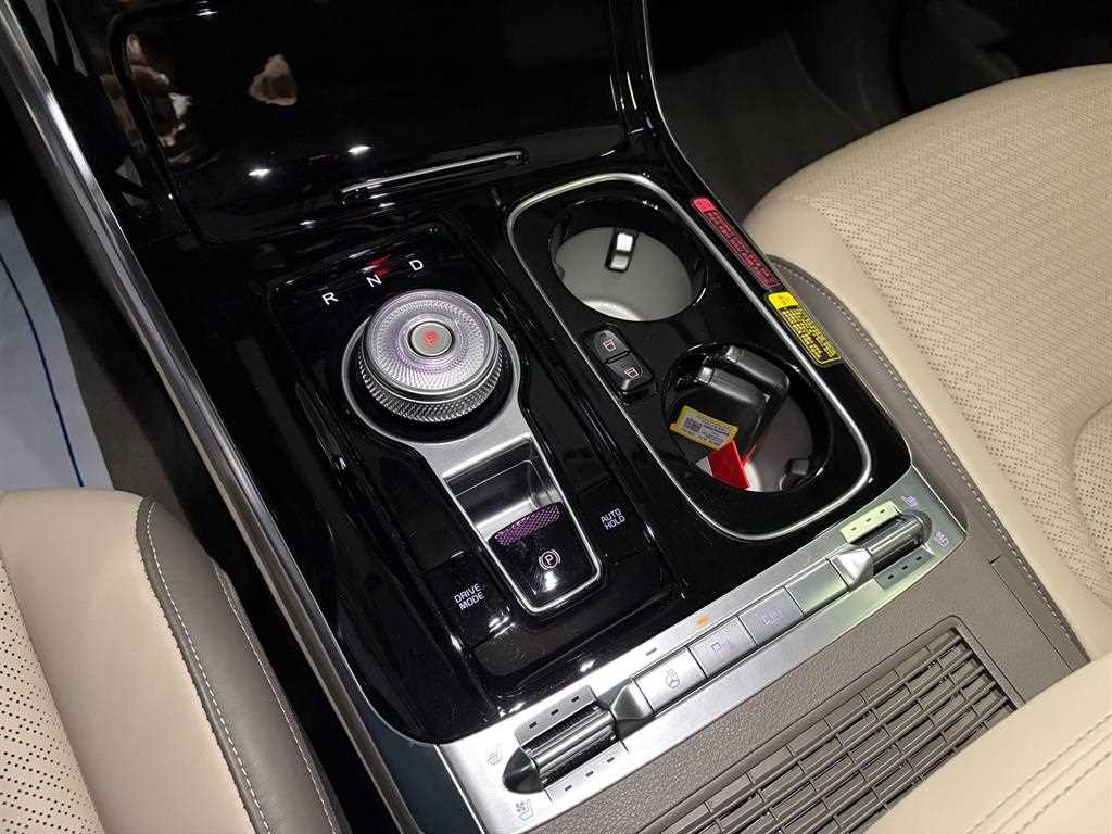 KIA Carnival - Vista 12