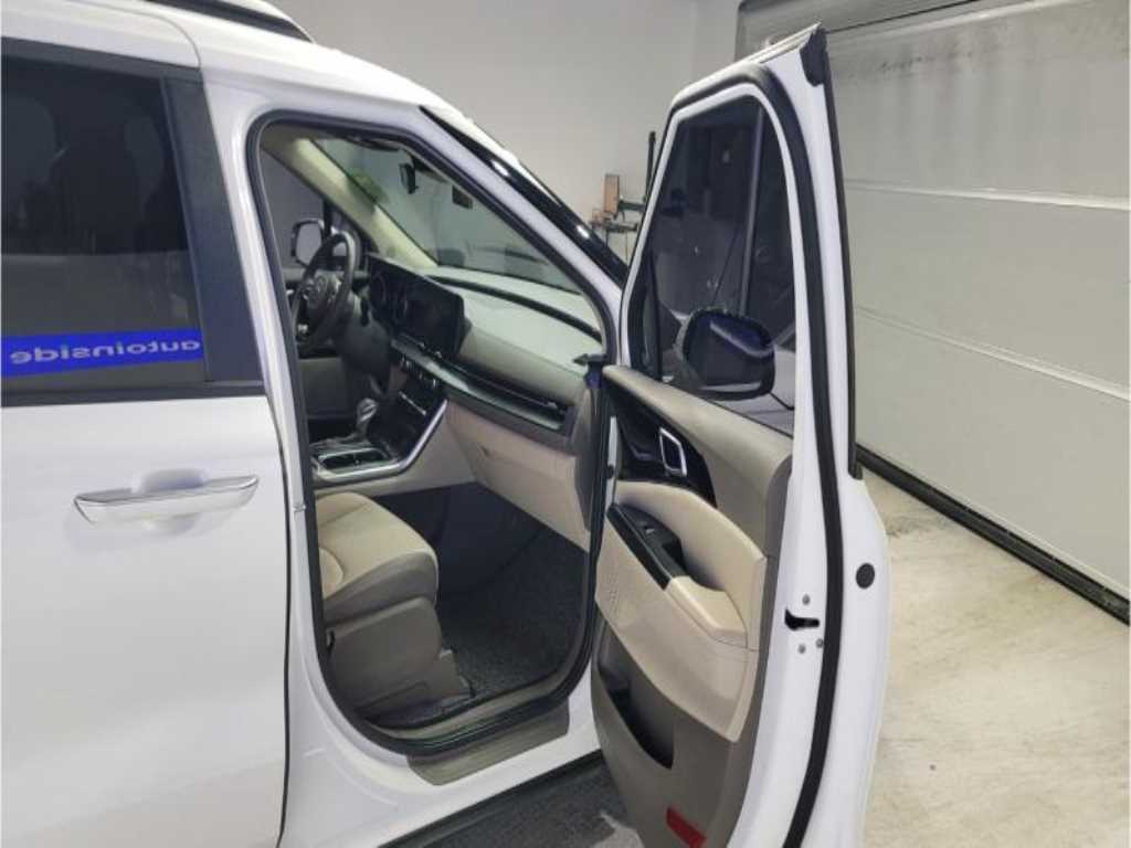 KIA Carnival - Vista 8