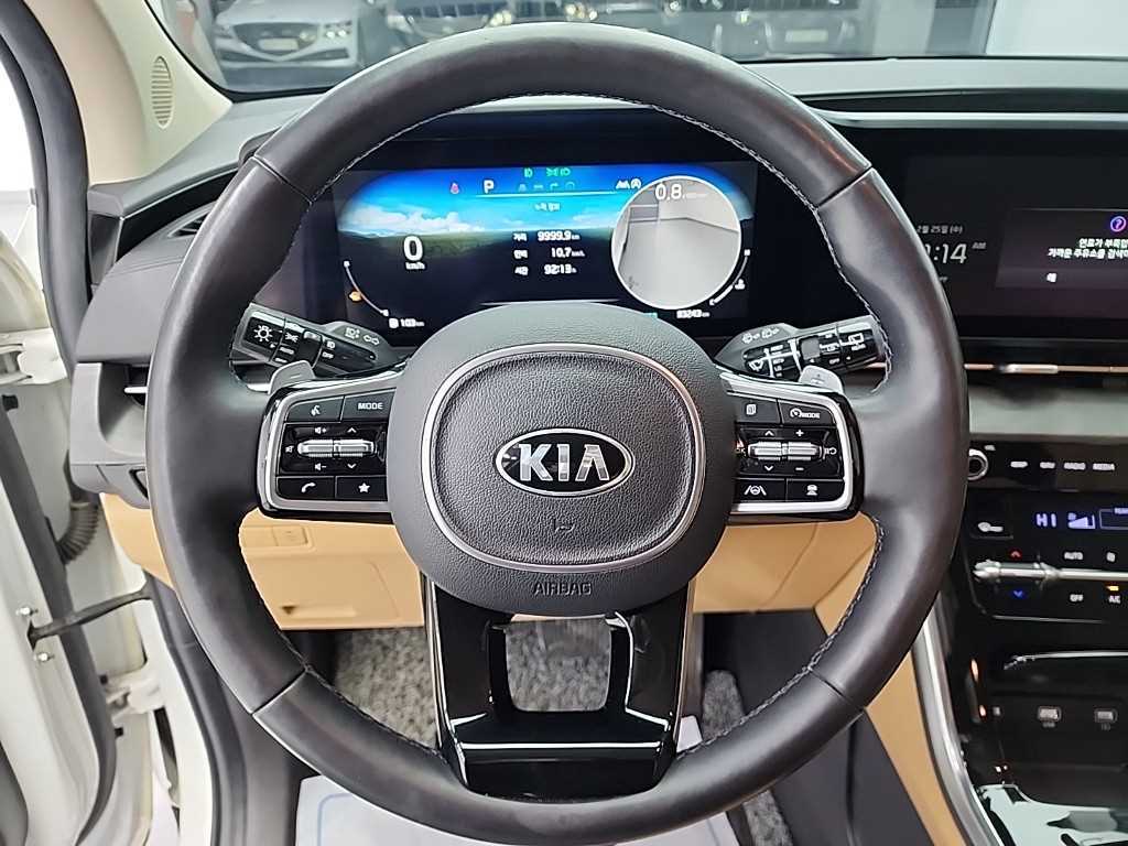 KIA Carnival - Vista 9