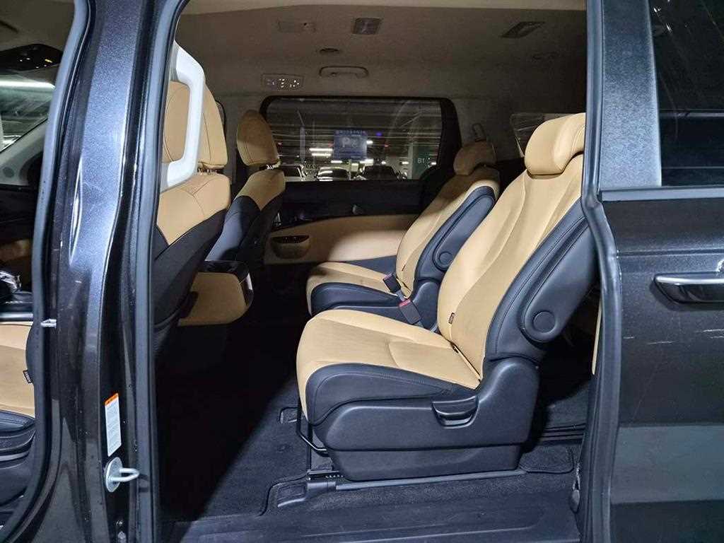 KIA Carnival - Vista 7