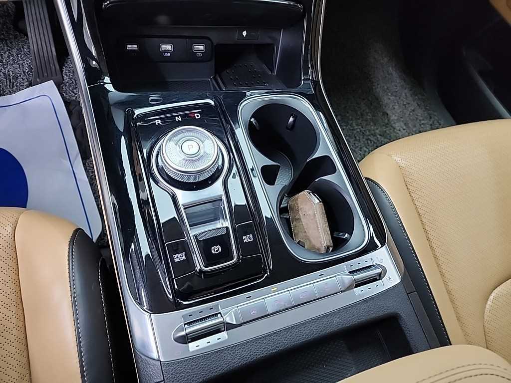 KIA Carnival - Vista 8