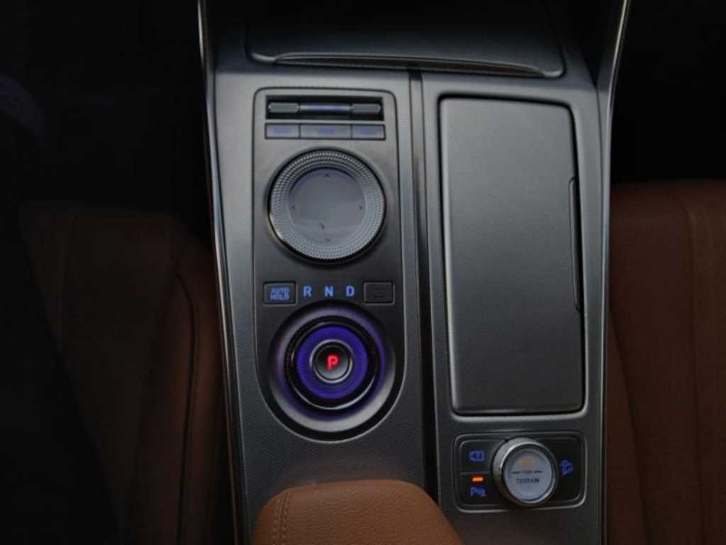 Genesis GV80 - Vista 12