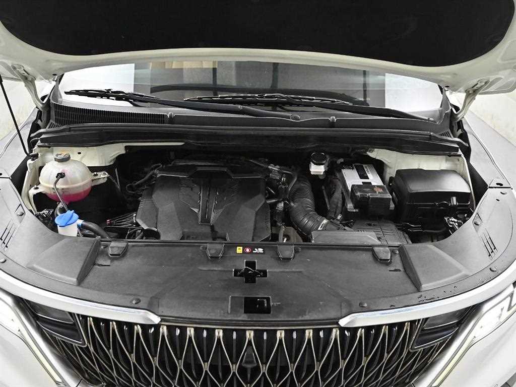 KIA Carnival - Vista 6