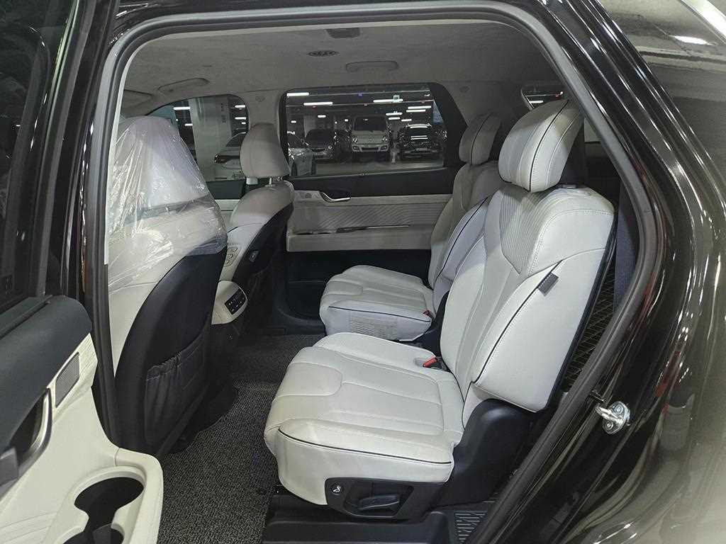 HYUNDAI Palisade - Vista 8