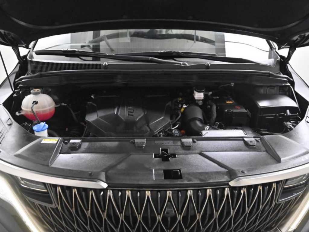 KIA Carnival - Vista 6