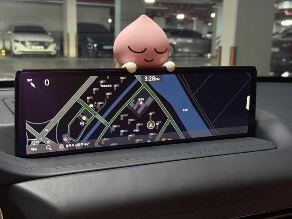 Genesis GV80 - Vista 11