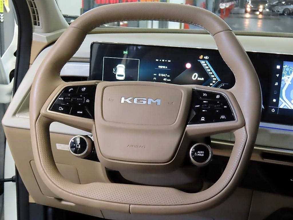 Ssangyong Action - Vista 8