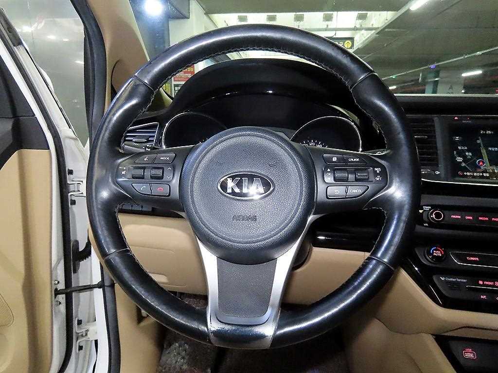 KIA Carnival - Vista 8