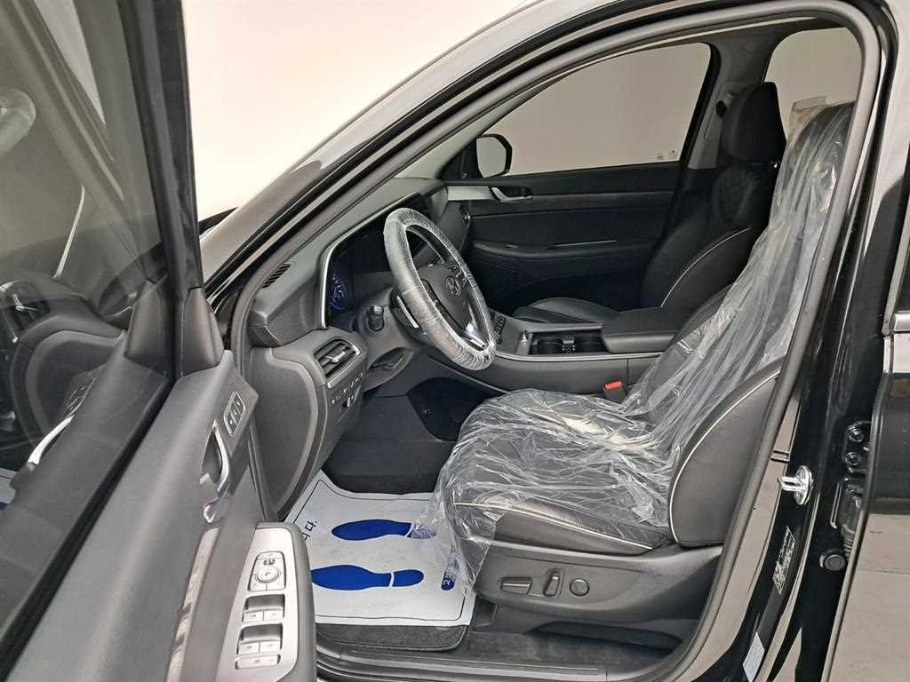 HYUNDAI Palisade - Vista 11