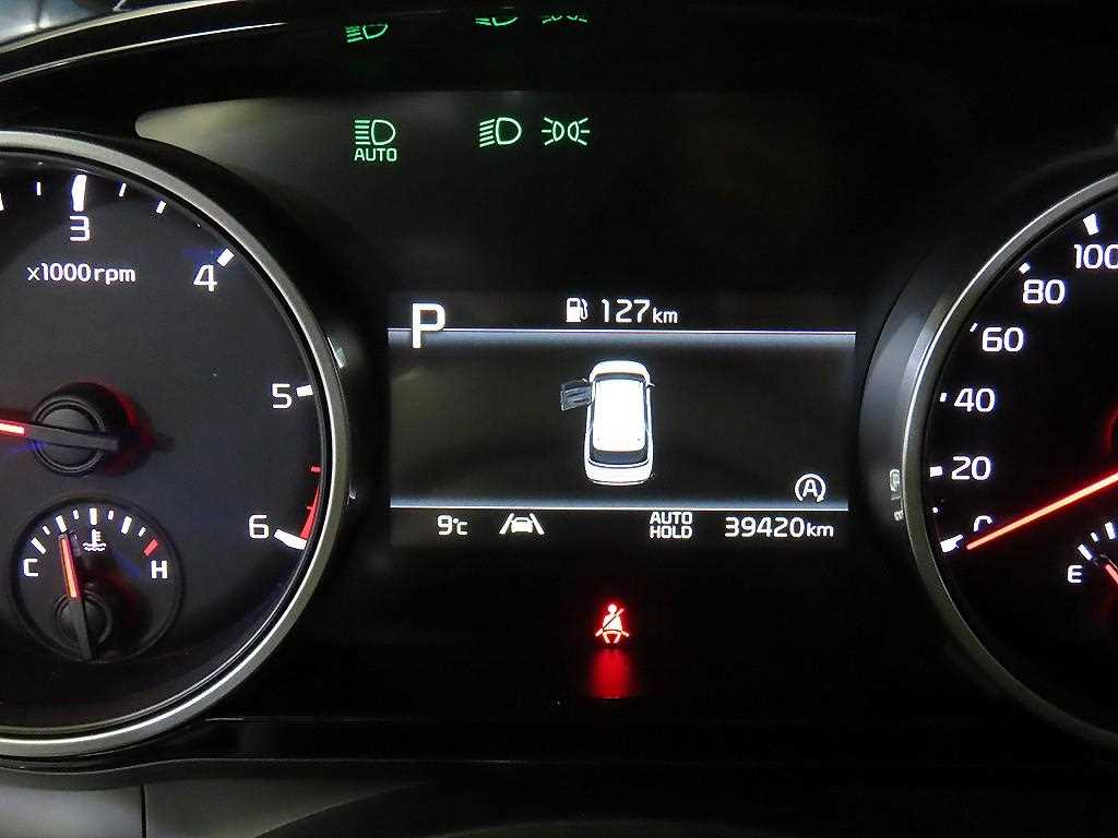 KIA Carnival - Vista 9