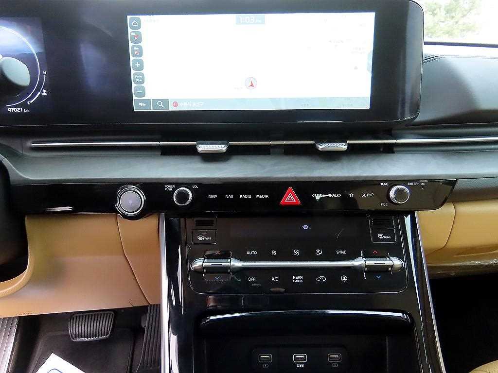 KIA Carnival - Vista 12