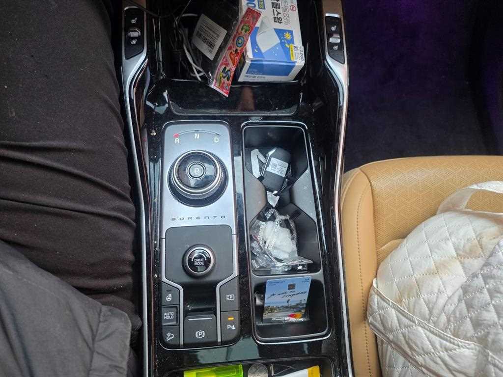 KIA Sorento - Vista 12