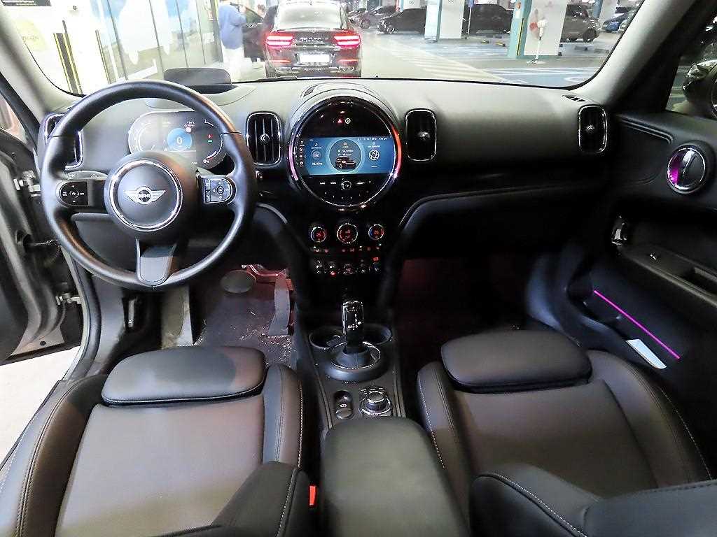 Mini Countryman - Vista 10