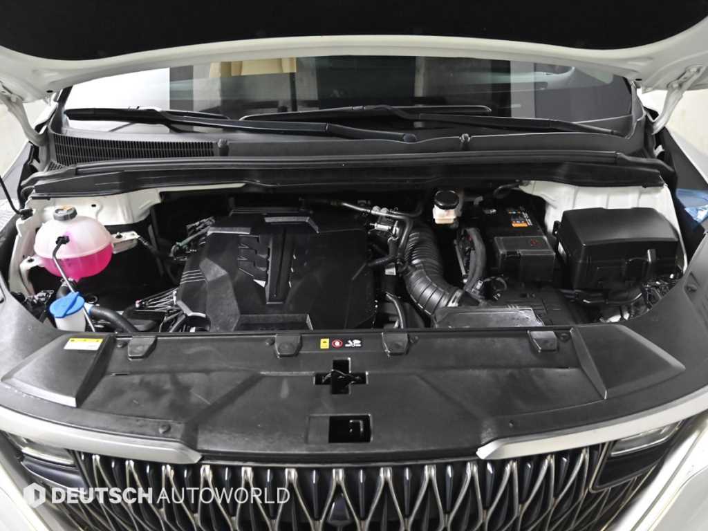 KIA Carnival - Vista 6