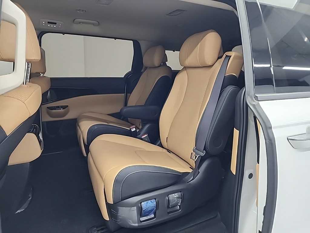 KIA Carnival - Vista 12