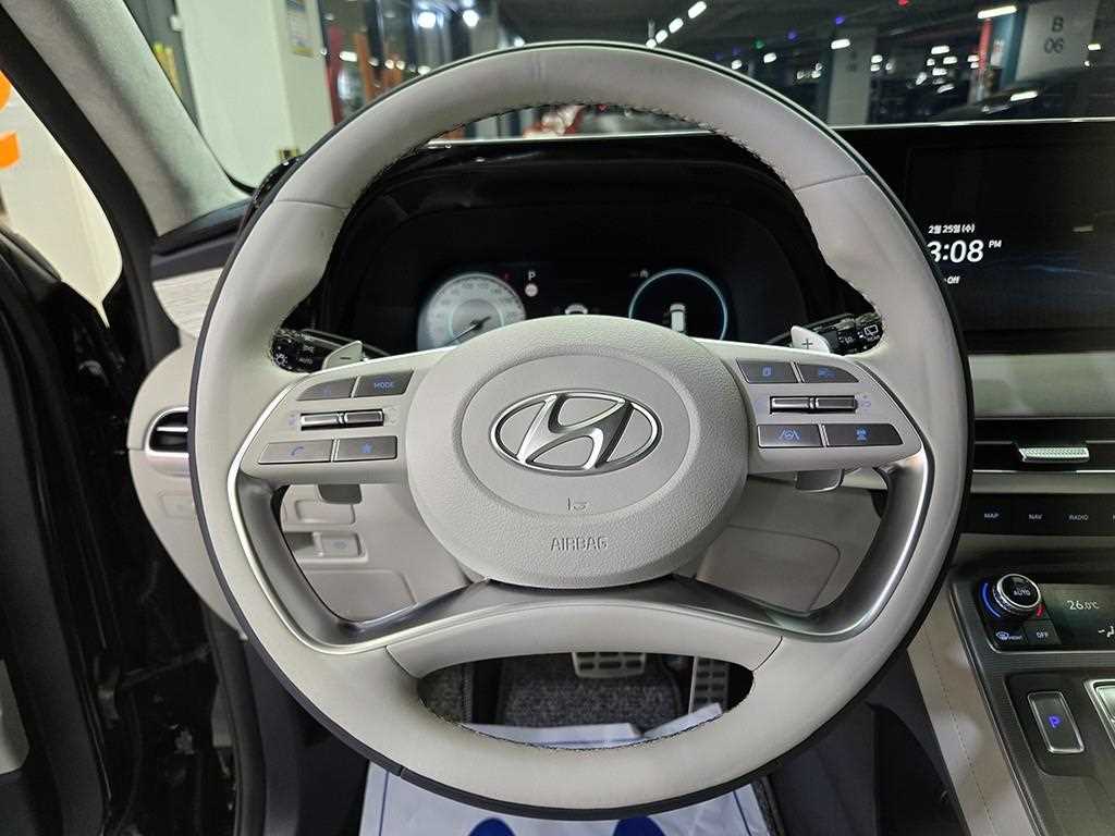 HYUNDAI Palisade - Vista 9