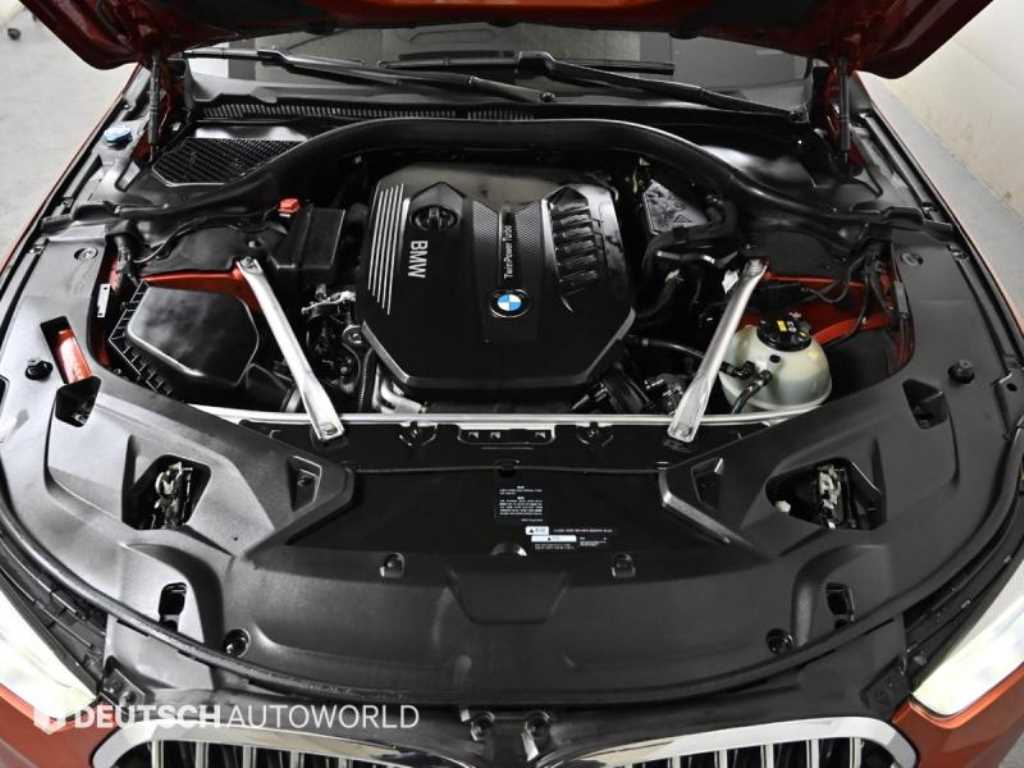 BMW 8 Series - Vista 6