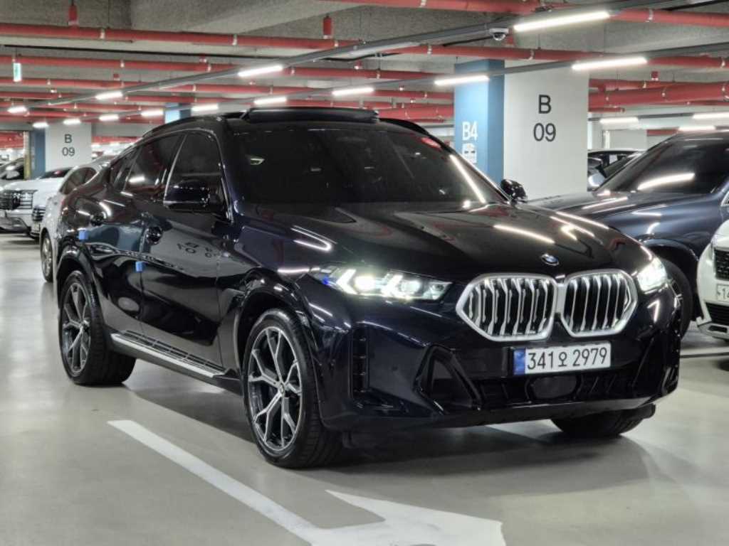 BMW X6 - Vista 2