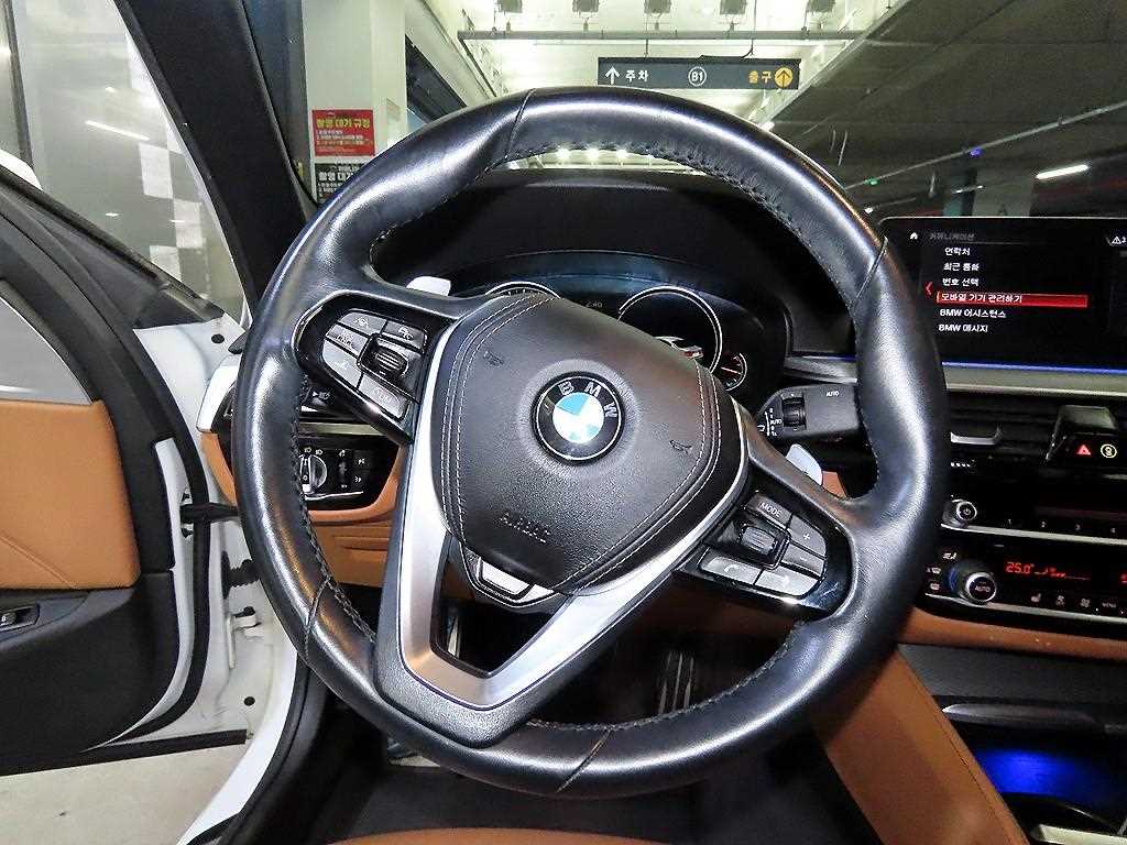 BMW 5 Series - Vista 8