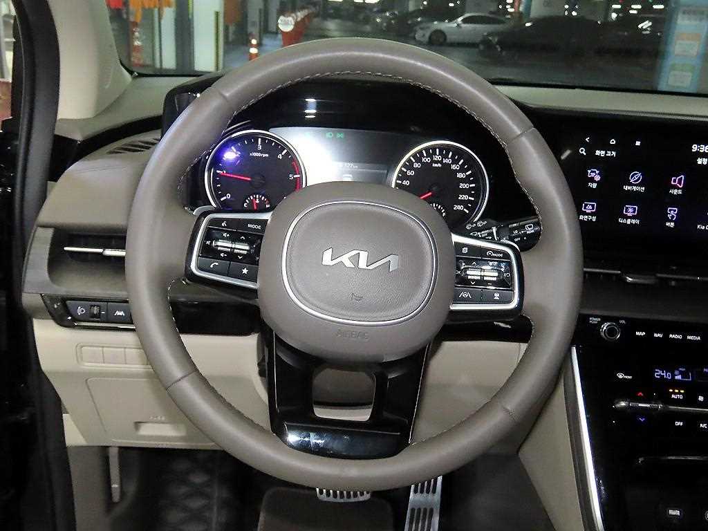 KIA Carnival - Vista 8