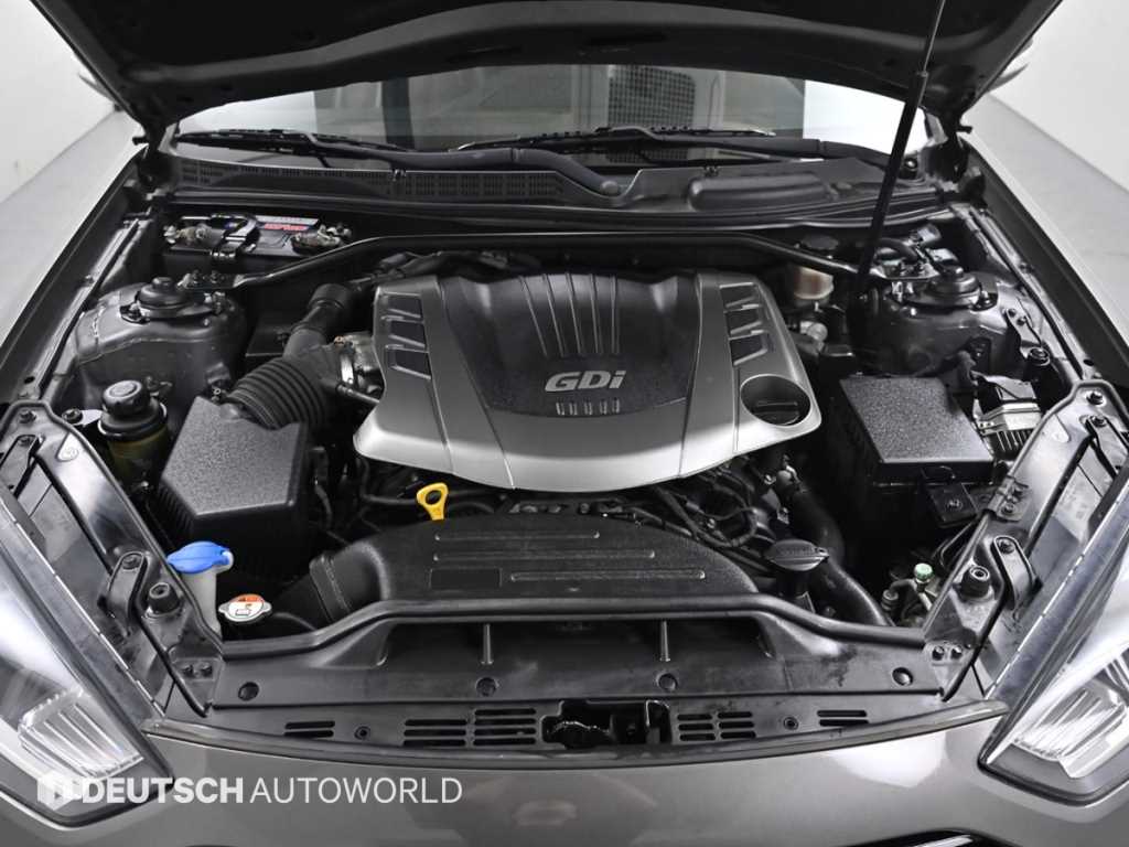 HYUNDAI Genesis - Vista 6