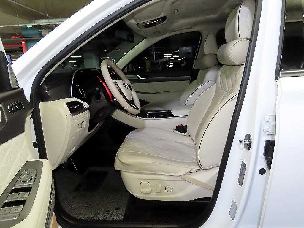 HYUNDAI Palisade - Vista 6