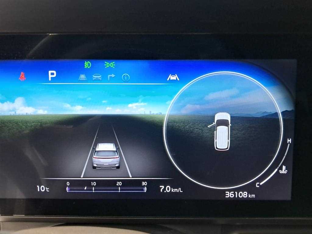 KIA Carnival - Vista 8