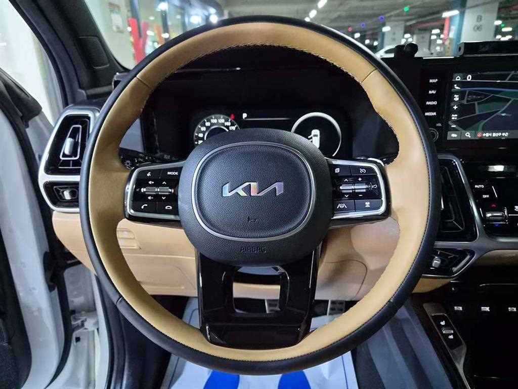 KIA Sorento - Vista 8