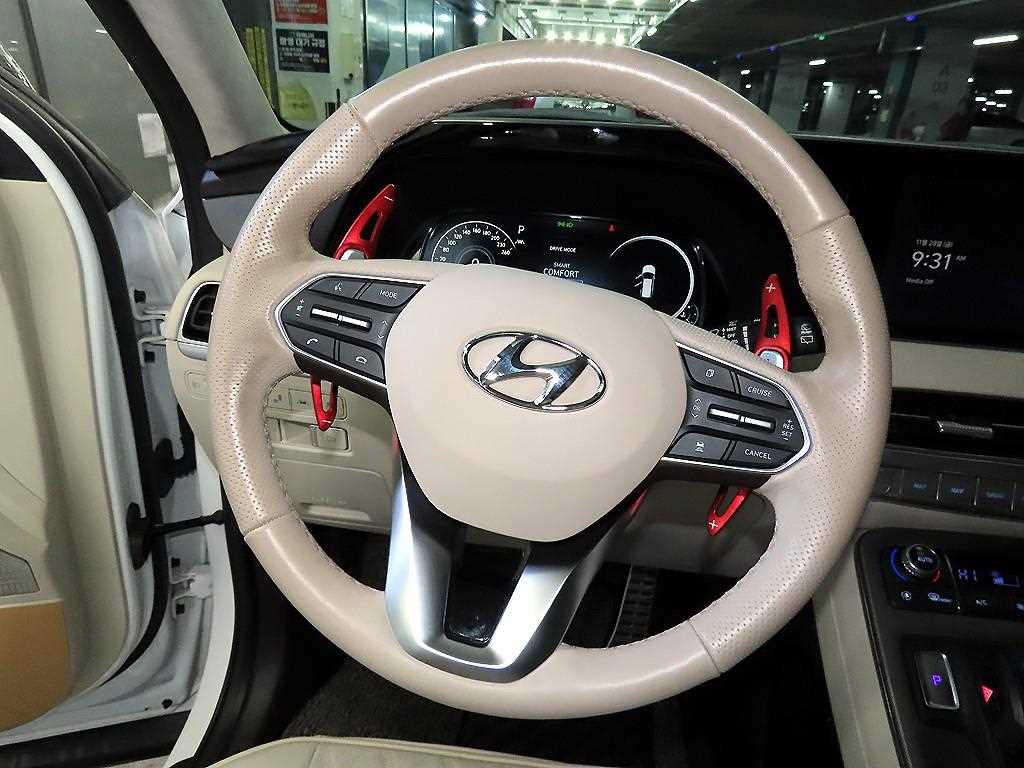 HYUNDAI Palisade - Vista 8