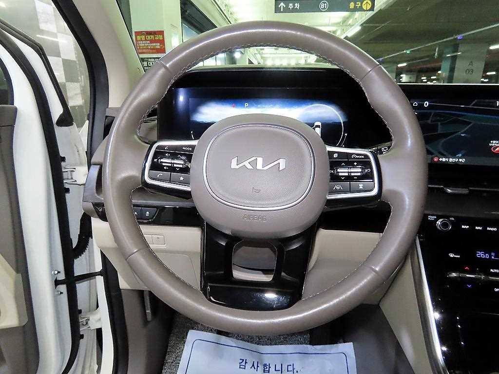KIA Carnival - Vista 8