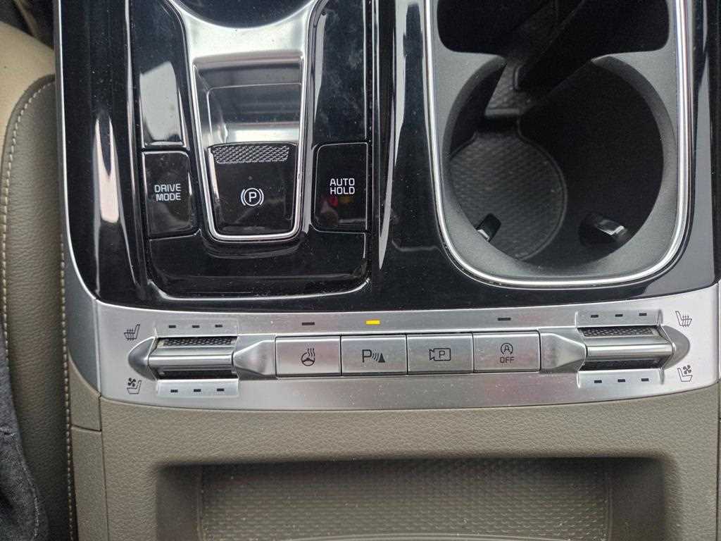 KIA Carnival - Vista 8