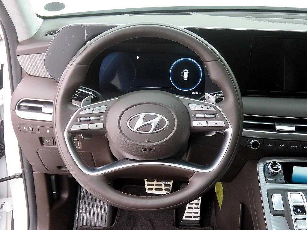 HYUNDAI Palisade - Vista 10