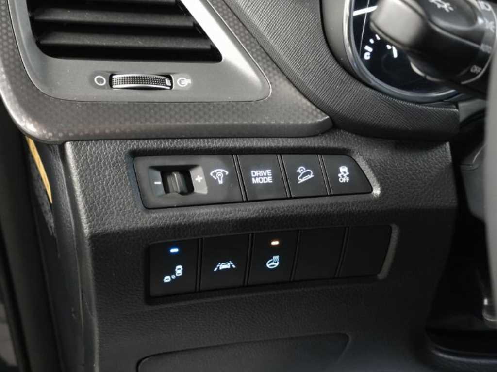 HYUNDAI Maxcruz - Vista 9