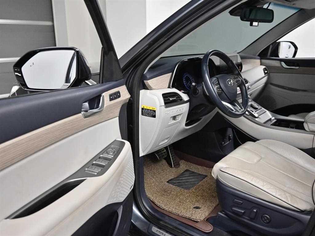 HYUNDAI Palisade - Vista 11
