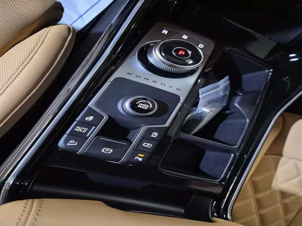 KIA Sorento - Vista 11