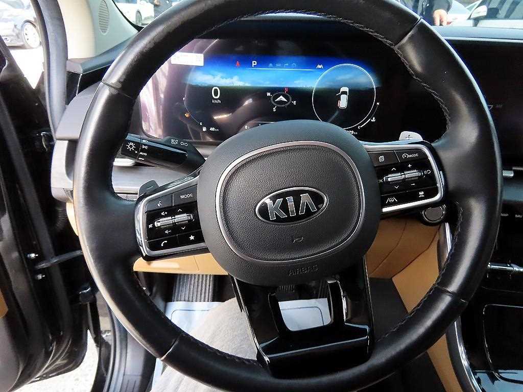 KIA Carnival - Vista 9