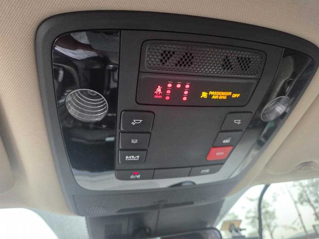 KIA Carnival - Vista 9