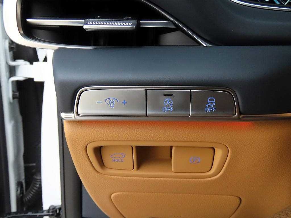 Genesis GV80 - Vista 12