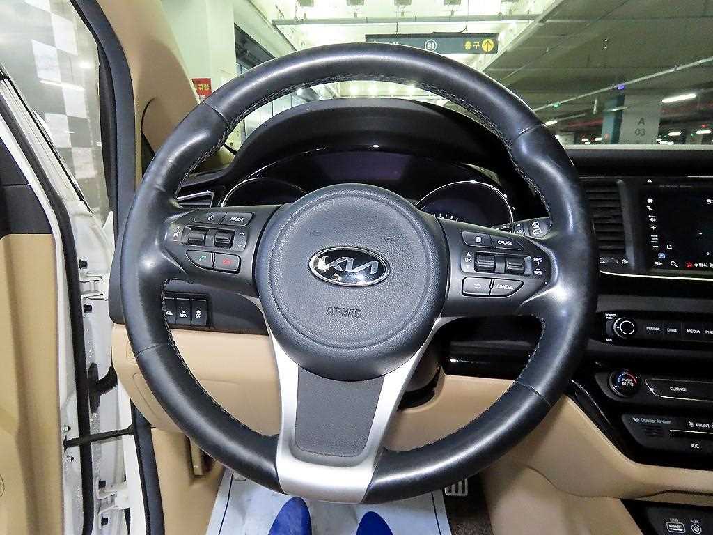 KIA Carnival - Vista 8