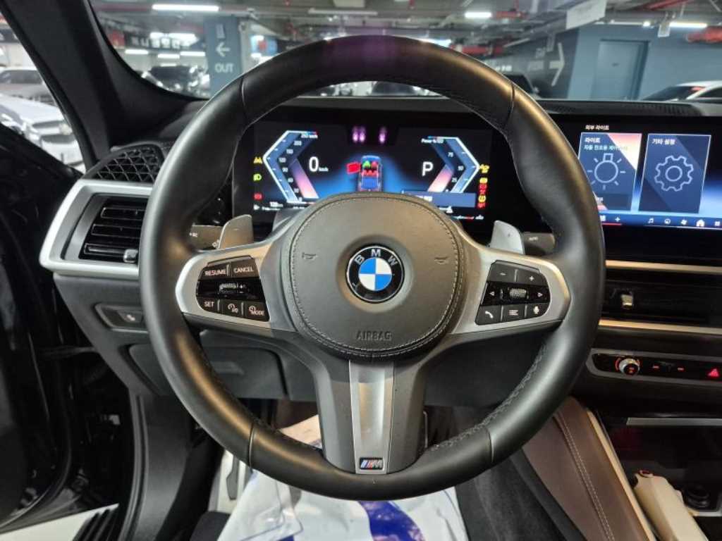 BMW X6 - Vista 12