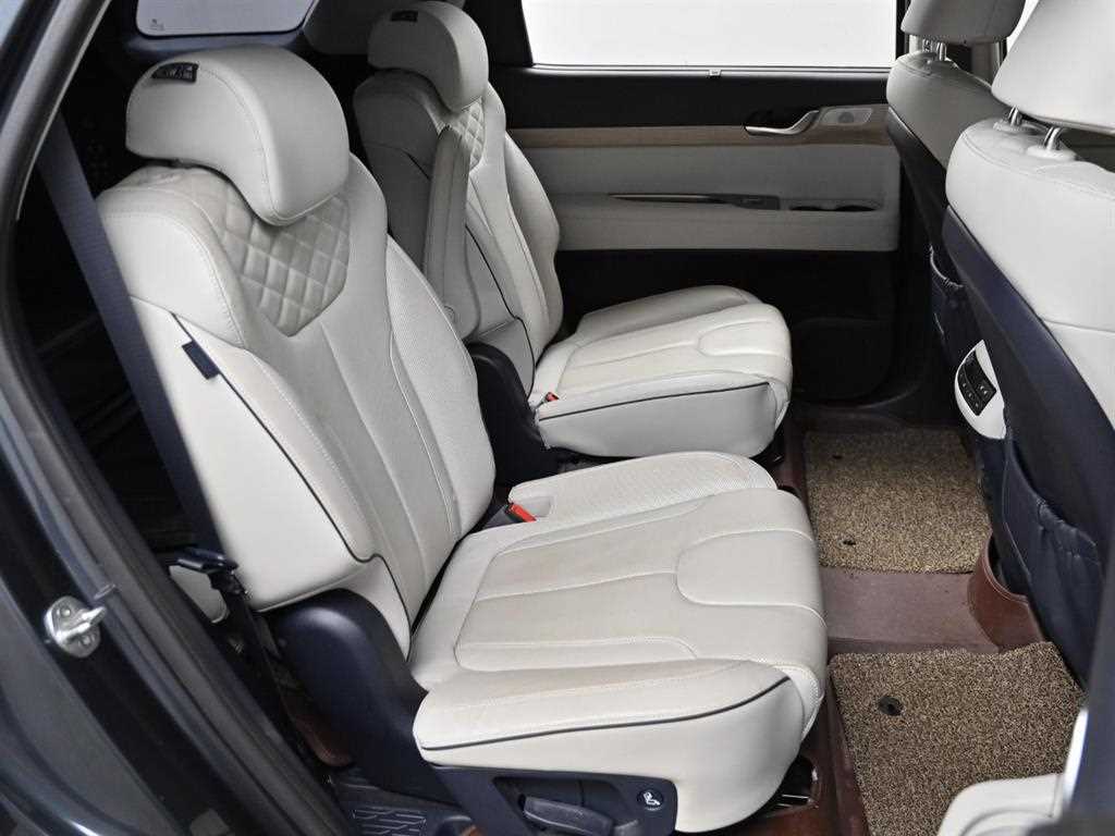 HYUNDAI Palisade - Vista 12