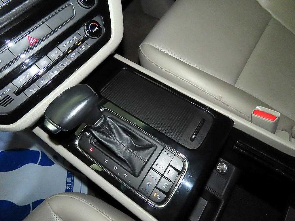 KIA Carnival - Vista 12