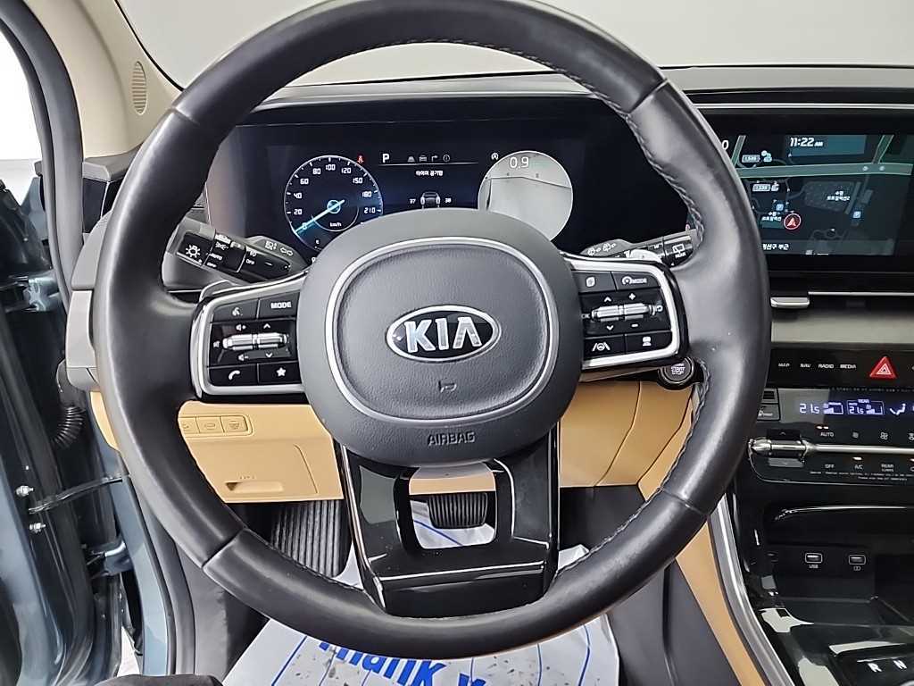 KIA Carnival - Vista 9