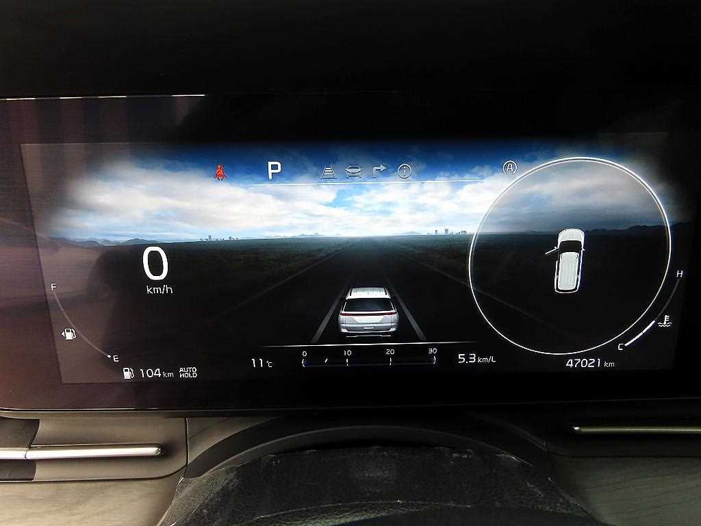 KIA Carnival - Vista 9