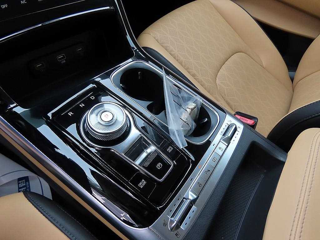 KIA Carnival - Vista 10